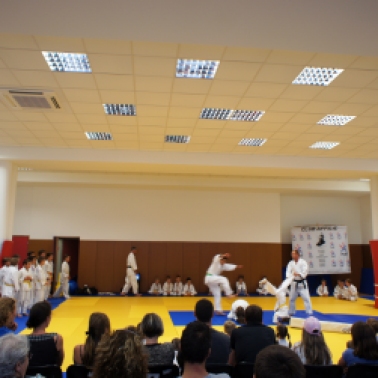 judo-6